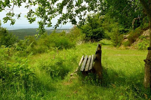 和细致的战 和细致的战