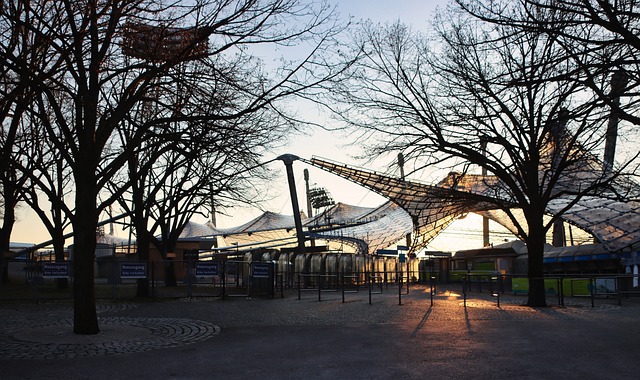 互动与配合 互动与配合