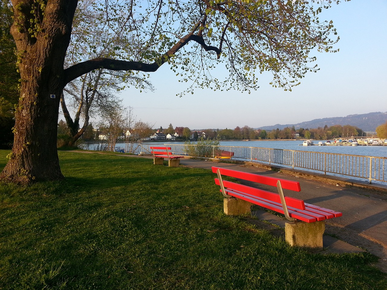 续进步将有 续进步将有